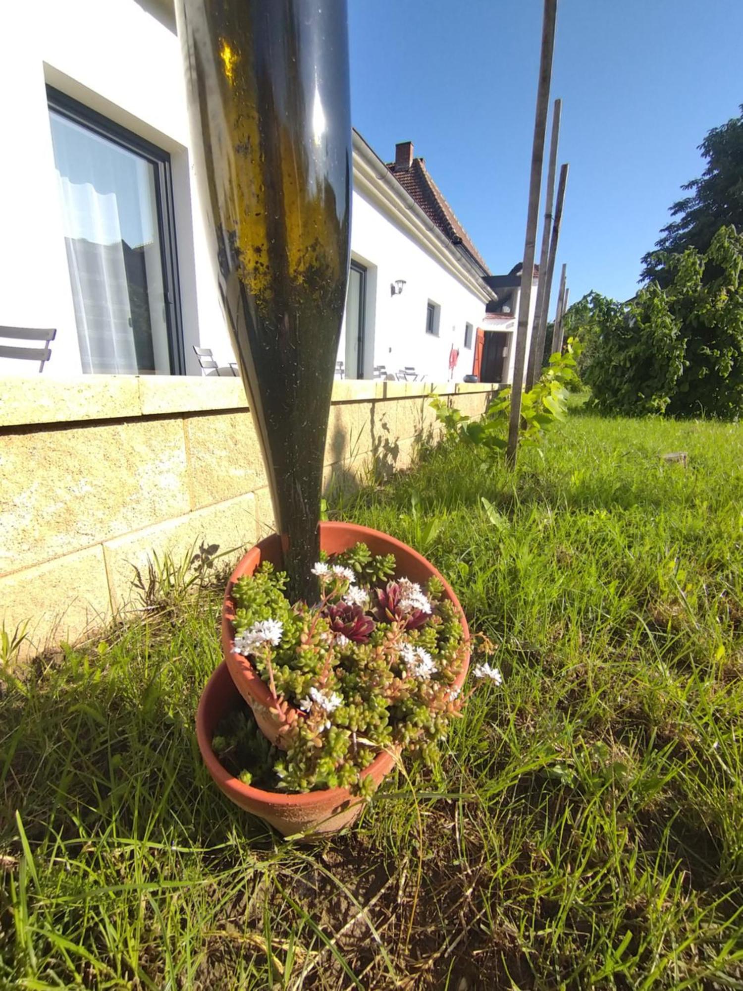 Bed and Breakfast Weingut Thomas Brandl Strass  Exterior foto